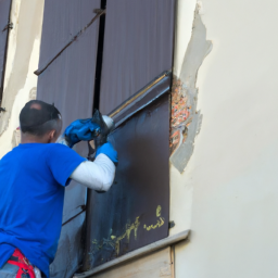 Crépis : optez pour une façade rustique et chaleureuse Montmorency